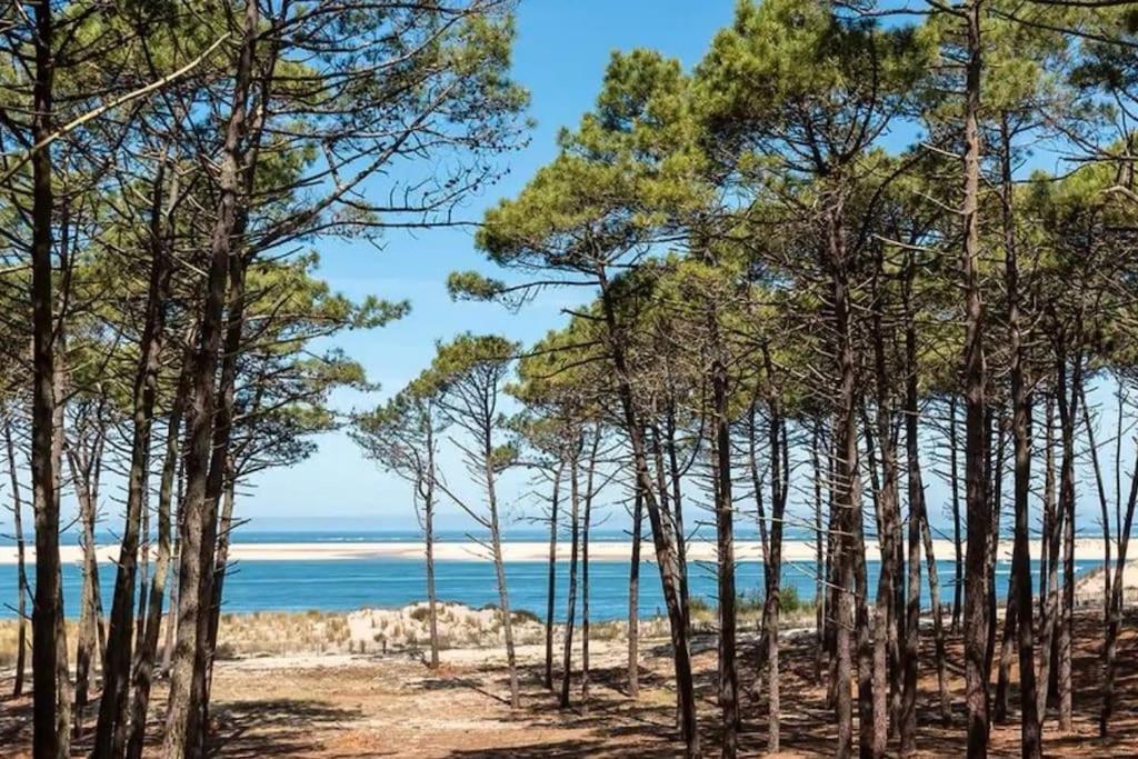 Atlandes - Entre Lac Et Mer Biscarrosse Zewnętrze zdjęcie
